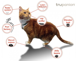 Illustration for article titled The anatomy of a cat...Â